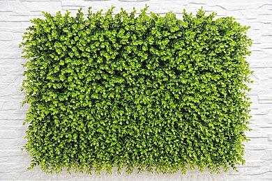 时代的终结 《城市天际线》将在5月推出最后一个DLC 